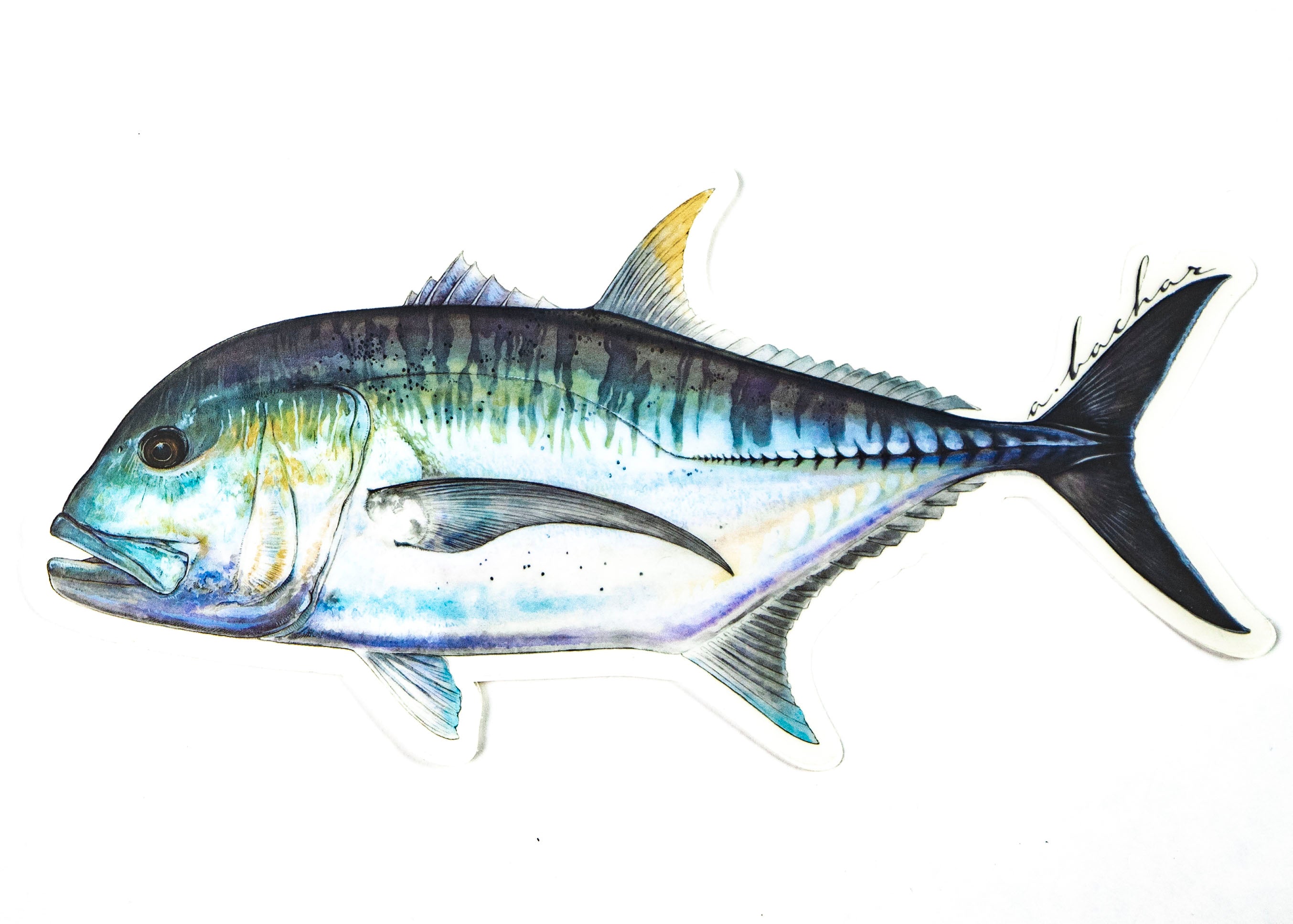 ABACHAR | ULUA "GT" - 8" STICKER