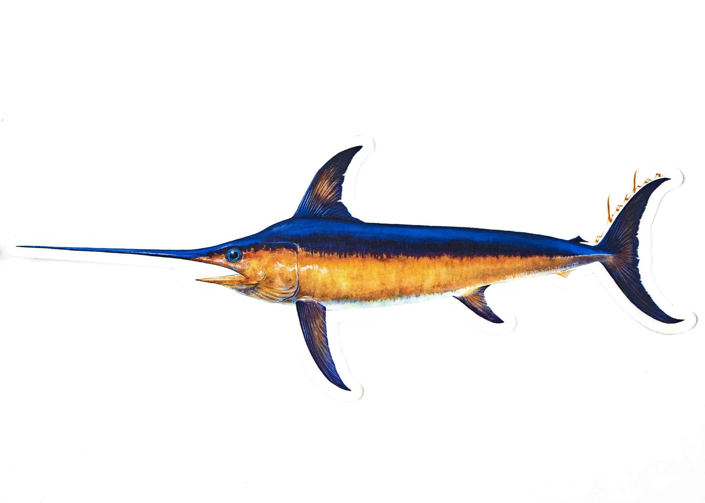 ABACHAR | ULUA "GT" - 8" STICKER