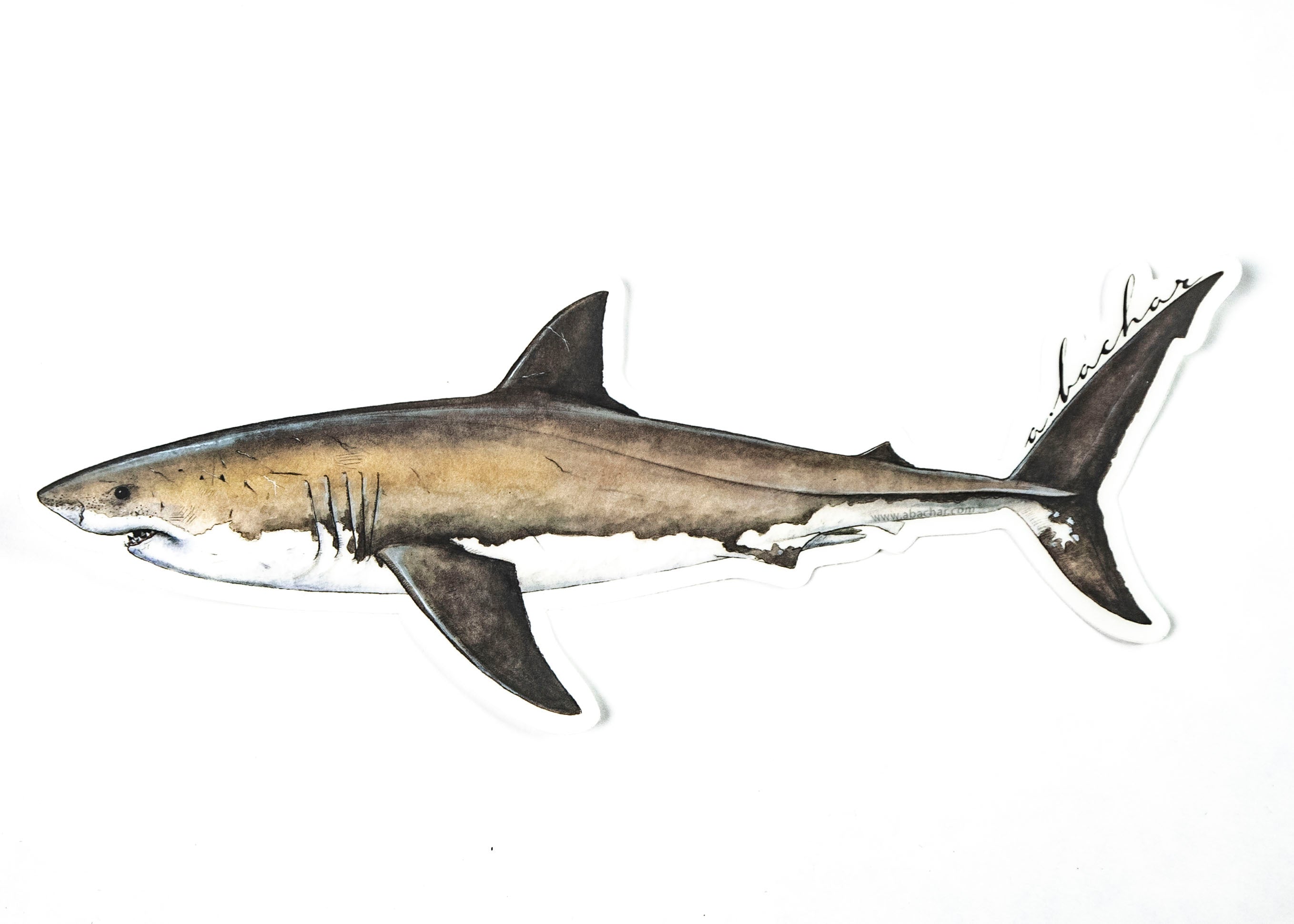 ABACHAR | ULUA "GT" - 8" STICKER